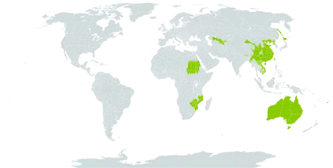 Morus indica world distribution map, present in Australia, Bhutan, China, Cook Islands, Fiji, India, Japan, Cambodia, Lao People's Democratic Republic, Myanmar, Mozambique, Nepal, Korea (Democratic People's Republic of), Russian Federation, Sudan, Tonga, Taiwan, Province of China, Uzbekistan, Viet Nam, Samoa, and Zimbabwe