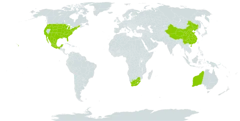 Morus world distribution map, present in Australia, China, Mexico, United States of America, and South Africa