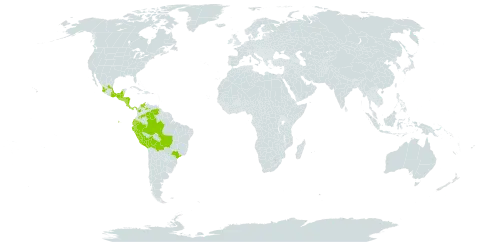 Mouriri myrtilloides subsp. parvifolia world distribution map, present in Belize, Bolivia (Plurinational State of), Brazil, Colombia, Costa Rica, Ecuador, Guatemala, Honduras, Mexico, Nicaragua, Panama, Peru, El Salvador, and Venezuela (Bolivarian Republic of)