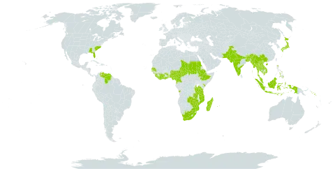 Mucuna pruriens var. pruriens world distribution map, present in Angola, Burundi, Bangladesh, Bhutan, China, Côte d'Ivoire, Cameroon, Ethiopia, Ghana, Guinea, Equatorial Guinea, Indonesia, India, Japan, Kenya, Cambodia, Lao People's Democratic Republic, Liberia, Sri Lanka, Madagascar, Myanmar, Mozambique, Mauritius, Malawi, Malaysia, Nigeria, Nepal, Pakistan, Philippines, Réunion, Sudan, Senegal, Solomon Islands, Sierra Leone, Chad, Togo, Thailand, Tanzania, United Republic of, Uganda, United States of America, Venezuela (Bolivarian Republic of), Viet Nam, South Africa, Zambia, and Zimbabwe