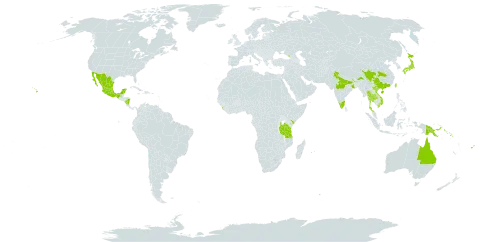 Mucuna pruriens var. utilis world distribution map, present in Australia, Azerbaijan, Barbados, China, Fiji, Georgia, Guadeloupe, India, Japan, Kenya, Saint Lucia, Sri Lanka, Mexico, Mauritius, Nicaragua, Nepal, Nauru, Papua New Guinea, Réunion, Solomon Islands, Thailand, Taiwan, Province of China, Tanzania, United Republic of, Uganda, United States of America, and Viet Nam