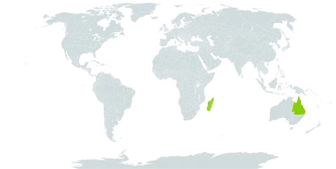 Muellerargia world distribution map, present in Australia and Madagascar