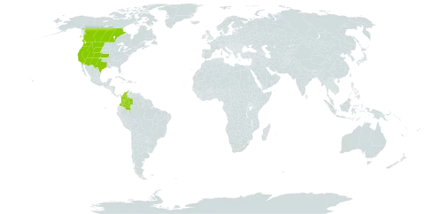 Muhlenbergia andina world distribution map, present in Canada, Colombia, and United States of America