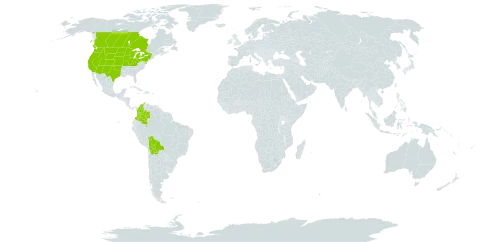 Muhlenbergia asperifolia world distribution map, present in Bolivia (Plurinational State of), Canada, Colombia, Micronesia (Federated States of), and United States of America