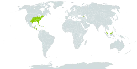 Muhlenbergia capillaris world distribution map, present in Åland Islands, Bahamas, Cuba, Georgia, Guatemala, Malaysia, Nicaragua, Puerto Rico, and United States of America