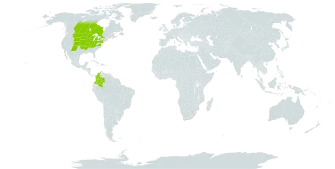 Muhlenbergia cuspidata world distribution map, present in Canada, Colombia, Micronesia (Federated States of), and United States of America