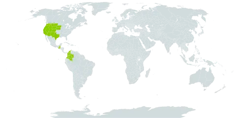 Muhlenbergia minutissima world distribution map, present in Colombia, Guatemala, and United States of America