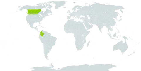 Muhlenbergia paniculata world distribution map, present in Canada and Colombia