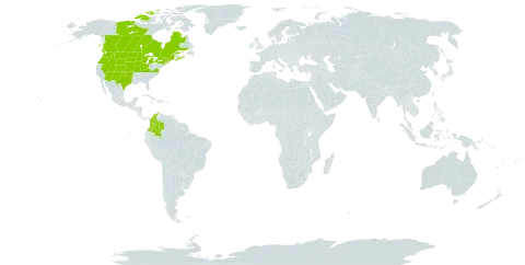 Muhlenbergia racemosa world distribution map, present in Canada, Colombia, and United States of America