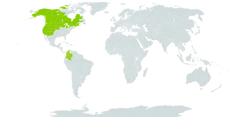 Muhlenbergia richardsonis world distribution map, present in Canada, Colombia, Micronesia (Federated States of), and United States of America