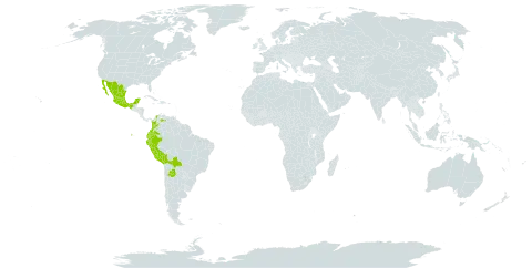 Munnozia hastifolia world distribution map, present in Argentina, Bolivia (Plurinational State of), Colombia, Ecuador, Mexico, Peru, and Venezuela (Bolivarian Republic of)