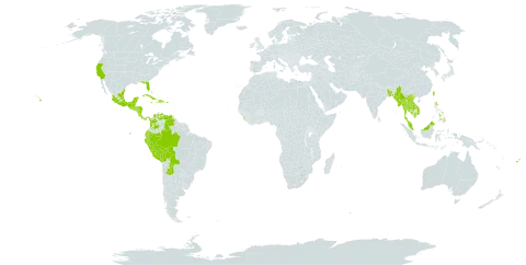 Muntingia calabura world distribution map, present in Argentina, Bangladesh, Bahamas, Belize, Bolivia (Plurinational State of), Brazil, Brunei Darussalam, Colombia, Costa Rica, Cuba, Dominican Republic, Ecuador, Fiji, Micronesia (Federated States of), Guatemala, Guam, Honduras, Haiti, India, Jamaica, Cambodia, Lao People's Democratic Republic, Sri Lanka, Maldives, Mexico, Myanmar, Northern Mariana Islands, Malaysia, Nicaragua, Panama, Peru, Philippines, Palau, Puerto Rico, Singapore, El Salvador, Thailand, Trinidad and Tobago, Taiwan, Province of China, United States of America, Venezuela (Bolivarian Republic of), and Viet Nam