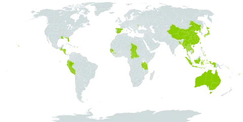 Musa world distribution map, present in Åland Islands, Andorra, Australia, Bangladesh, Central African Republic, China, Cook Islands, Costa Rica, Ecuador, Spain, Fiji, Guinea, Gambia, Guinea-Bissau, Guatemala, Honduras, Indonesia, Japan, Lao People's Democratic Republic, Moldova (Republic of), Maldives, Myanmar, Mauritius, Nicaragua, Nepal, Nauru, Peru, Philippines, Puerto Rico, Korea (Democratic People's Republic of), Réunion, Senegal, Solomon Islands, Turks and Caicos Islands, Chad, Thailand, Tokelau, Tonga, Tuvalu, Taiwan, Province of China, Tanzania, United Republic of, United States of America, Viet Nam, and Samoa