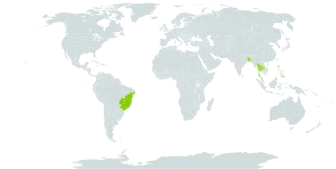 Mussaenda philippica world distribution map, present in Bangladesh, Brazil, Philippines, Solomon Islands, Thailand, and United States of America