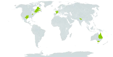 Myagrum perfoliatum world distribution map, present in Australia, Canada, France, India, and United States of America