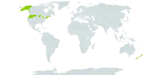 Mycelis world distribution map, present in New Zealand and United States of America