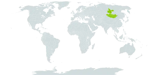 Myosotis austrosibirica world distribution map, present in Mongolia and Russian Federation