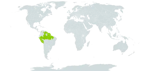 Myrcia pullei world distribution map, present in Brazil, Colombia, French Guiana, Guyana, Peru, Suriname, and Venezuela (Bolivarian Republic of)