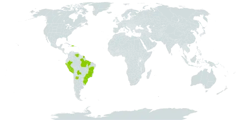 Myrciaria tenella world distribution map, present in Argentina, Bolivia (Plurinational State of), Brazil, Dominican Republic, French Guiana, Haiti, Peru, Paraguay, Uruguay, and Venezuela (Bolivarian Republic of)