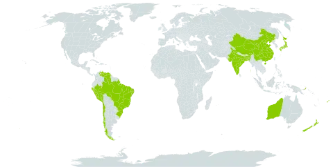 Nageia world distribution map, present in Australia, Bangladesh, Brazil, Chile, China, Fiji, India, Japan, New Zealand, Peru, Papua New Guinea, and Venezuela (Bolivarian Republic of)