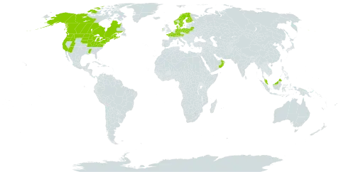 Najas flexilis world distribution map, present in Austria, Belarus, Canada, Switzerland, Germany, Denmark, Finland, France, Micronesia (Federated States of), Ireland, Malaysia, Norway, Oman, Poland, Sweden, and United States of America