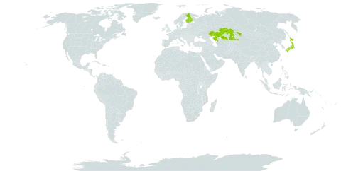 Najas tenuissima world distribution map, present in Finland, Japan, and Kazakhstan