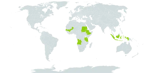 Najas welwitschii world distribution map, present in Angola, Ethiopia, Indonesia, Mali, Sudan, Senegal, and Tanzania, United Republic of