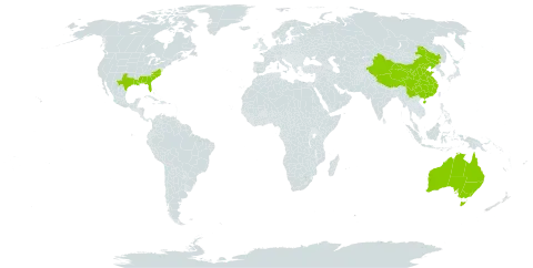 Nandina world distribution map, present in Australia, China, and United States of America