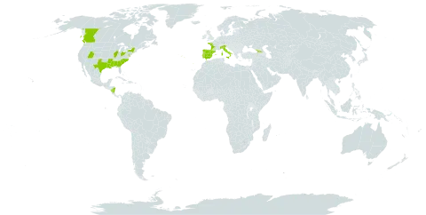 Narcissus jonquilla world distribution map, present in Åland Islands, Canada, Spain, France, Georgia, Italy, Nicaragua, Portugal, and United States of America