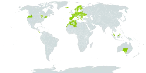 Nardus world distribution map, present in Albania, Australia, Austria, Bulgaria, Belarus, Switzerland, Costa Rica, Czech Republic, Germany, Denmark, Algeria, Spain, Finland, France, Micronesia (Federated States of), Greece, Hungary, Ireland, Iceland, Italy, Morocco, Montenegro, Malaysia, Netherlands, Norway, Poland, Portugal, Romania, Sweden, Turks and Caicos Islands, Ukraine, and United States of America