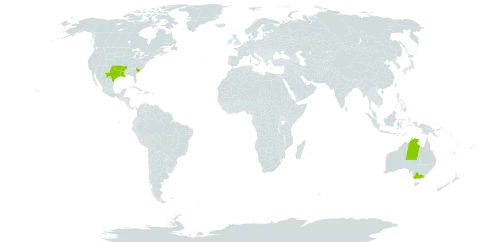 Nassella leucotricha world distribution map, present in Australia and United States of America