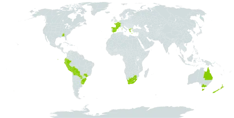 Nassella neesiana world distribution map, present in Åland Islands, Australia, Bolivia (Plurinational State of), Brazil, Ecuador, Spain, France, Greece, New Zealand, Peru, Paraguay, Uruguay, United States of America, and South Africa