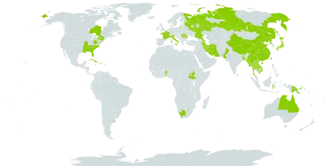 Nelumbo nucifera world distribution map, present in Antigua and Barbuda, Australia, Azerbaijan, Benin, Bangladesh, Barbados, Bhutan, Canada, China, Cuba, France, Indonesia, India, Iran (Islamic Republic of), Italy, Japan, Cambodia, Lao People's Democratic Republic, Sri Lanka, Myanmar, Nepal, Pakistan, Philippines, Papua New Guinea, Puerto Rico, Korea (Democratic People's Republic of), Romania, Russian Federation, South Sudan, Thailand, Trinidad and Tobago, Taiwan, Province of China, United States of America, Viet Nam, and South Africa