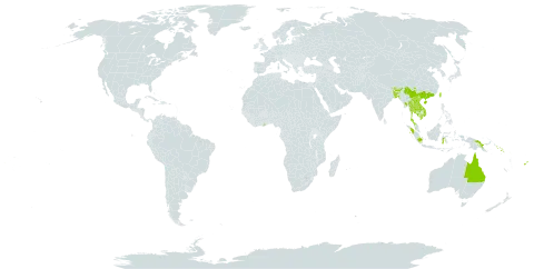 Neoalsomitra clavigera world distribution map, present in Australia, Bangladesh, Bhutan, China, Fiji, Ghana, Indonesia, India, Cambodia, Lao People's Democratic Republic, Sri Lanka, Myanmar, Malaysia, Nepal, Philippines, Papua New Guinea, Solomon Islands, Thailand, Taiwan, Province of China, and Viet Nam