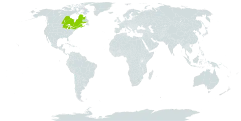 Neottia auriculata world distribution map, present in Canada, Micronesia (Federated States of), and United States of America