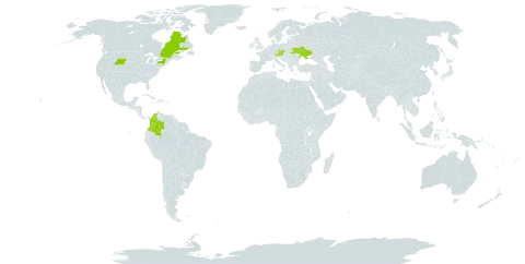 Nepeta grandiflora world distribution map, present in Austria, Canada, Colombia, Czech Republic, Ukraine, and United States of America