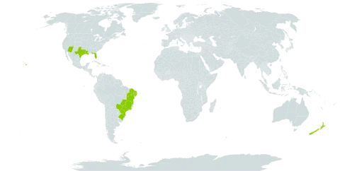 Nephrolepis exaltata world distribution map, present in Brazil, New Zealand, and United States of America