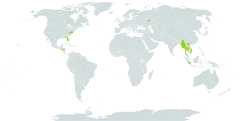 Nephrolepis falcata world distribution map, present in Honduras, Indonesia, Sri Lanka, Myanmar, Philippines, Russian Federation, Thailand, United States of America, and Viet Nam