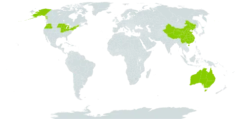 Neslia world distribution map, present in Australia, China, and United States of America