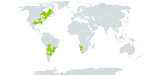 Nicotiana longiflora world distribution map, present in Argentina, Bolivia (Plurinational State of), Brazil, Canada, Namibia, Paraguay, Taiwan, Province of China, Uruguay, United States of America, and South Africa