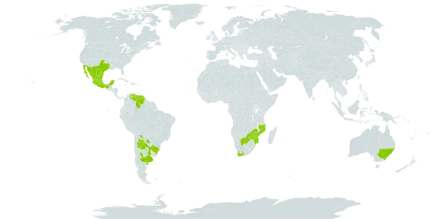 Nierembergia linariifolia world distribution map, present in Argentina, Australia, Bolivia (Plurinational State of), Brazil, Botswana, Mexico, Mozambique, Paraguay, Uruguay, United States of America, Venezuela (Bolivarian Republic of), South Africa, and Zimbabwe