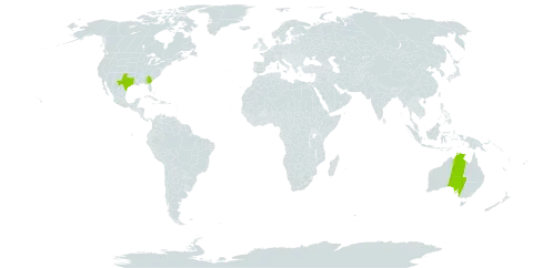 Nierembergia world distribution map, present in Australia and United States of America