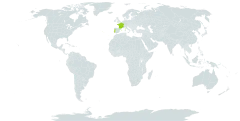 Nigella gallica world distribution map, present in Spain, France, and Portugal