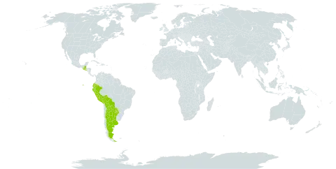 Nissolia fruticosa var. guatemalensis world distribution map, present in Argentina, American Samoa, Bolivia (Plurinational State of), Ecuador, Guatemala, Peru, Paraguay, and El Salvador