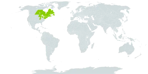 Nuphar microphylla world distribution map, present in Canada and United States of America