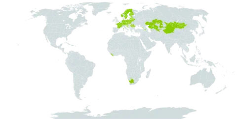 Nymphaea candida world distribution map, present in Armenia, Austria, Belarus, Switzerland, China, Czech Republic, Germany, Estonia, Finland, France, Georgia, Croatia, India, Kazakhstan, Liberia, Sri Lanka, Lithuania, Latvia, Mongolia, Norway, Poland, Romania, Slovakia, Sweden, Uzbekistan, and South Africa