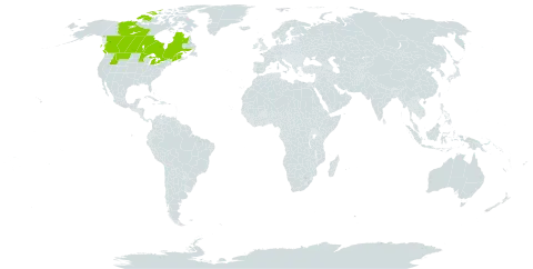 Nymphaea leibergii world distribution map, present in Canada and United States of America