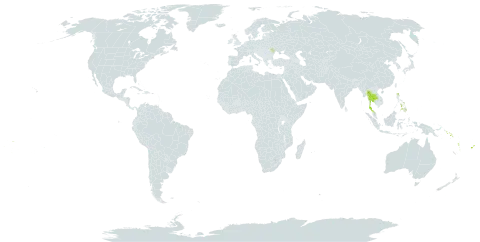 Oberonia equitans world distribution map, present in Cook Islands, Fiji, Moldova (Republic of), Philippines, Solomon Islands, Thailand, Tonga, Vanuatu, Wallis and Futuna, and Samoa