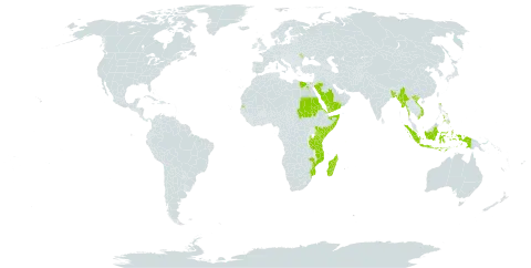 Oceana world distribution map, present in Bangladesh, Comoros, Egypt, Eritrea, Indonesia, Kenya, Moldova (Republic of), Madagascar, Myanmar, Mozambique, Philippines, Saudi Arabia, Sudan, Somalia, Seychelles, Tanzania, United Republic of, Viet Nam, and Yemen