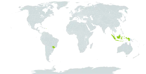 Ochlandra travancorica world distribution map, present in Brazil, Indonesia, and Puerto Rico